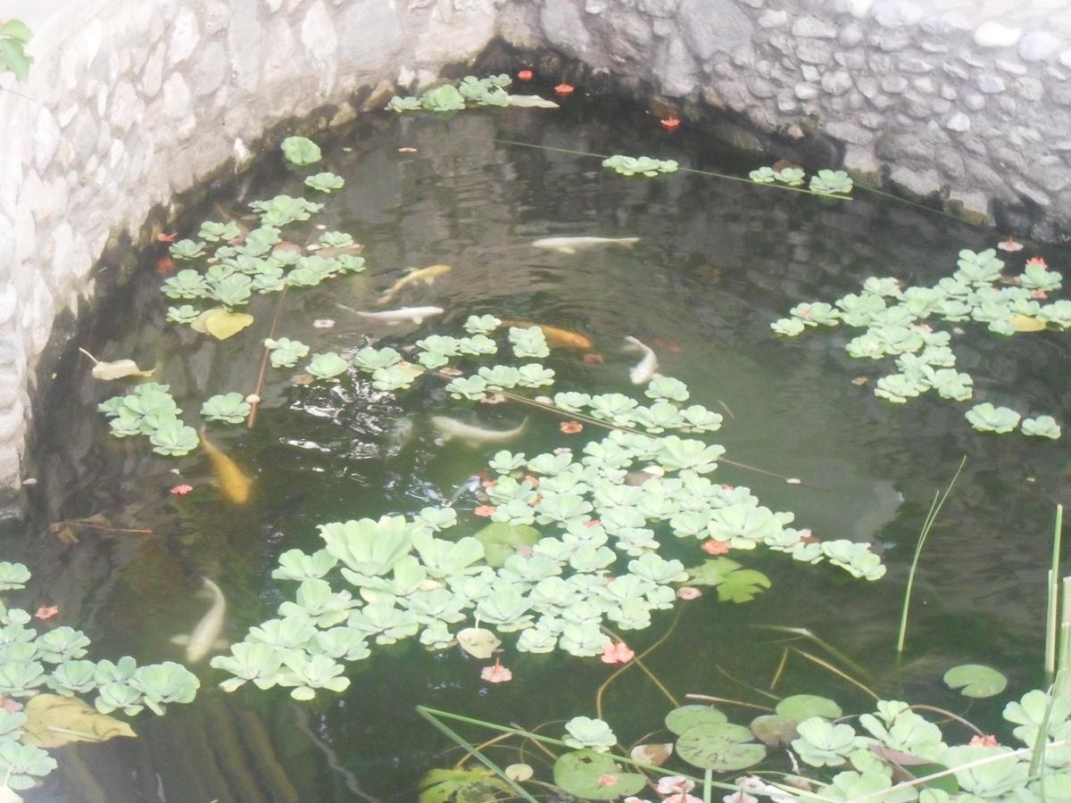 Garden Roomz Oman Маскат Экстерьер фото