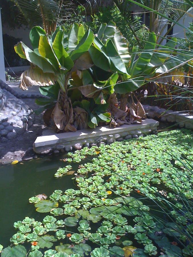 Garden Roomz Oman Маскат Экстерьер фото