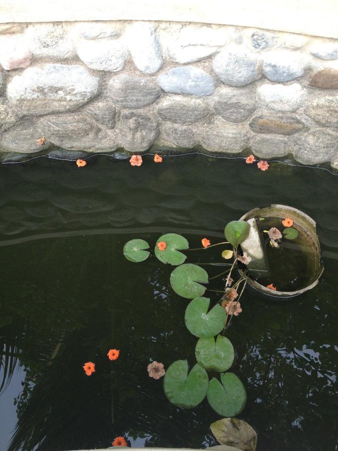 Garden Roomz Oman Маскат Экстерьер фото