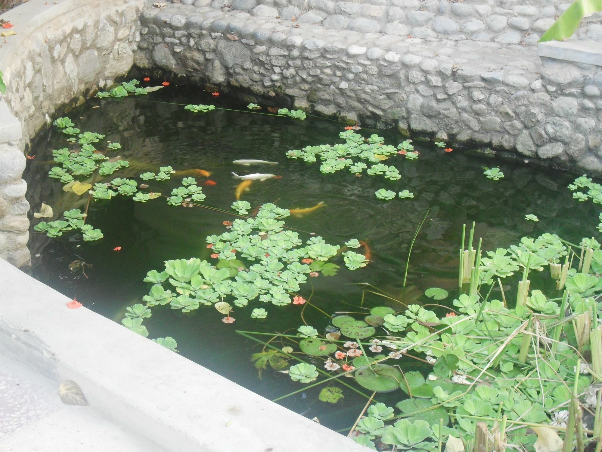 Garden Roomz Oman Маскат Экстерьер фото